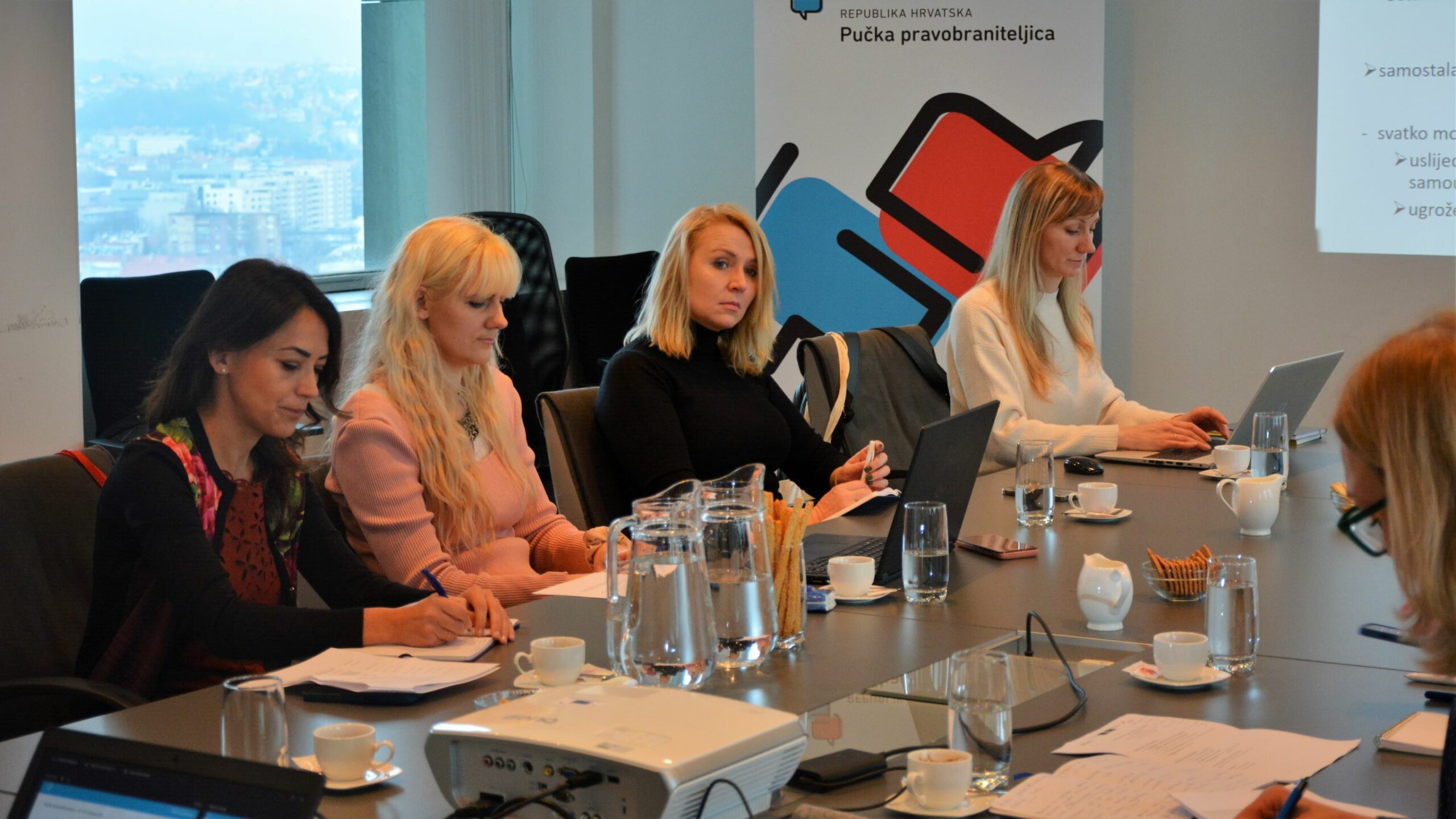 Latvijas nacionālā preventīvā mehānisma un Eiropas Padomes pārstāves darba apspriedē, sēžot pie galda
