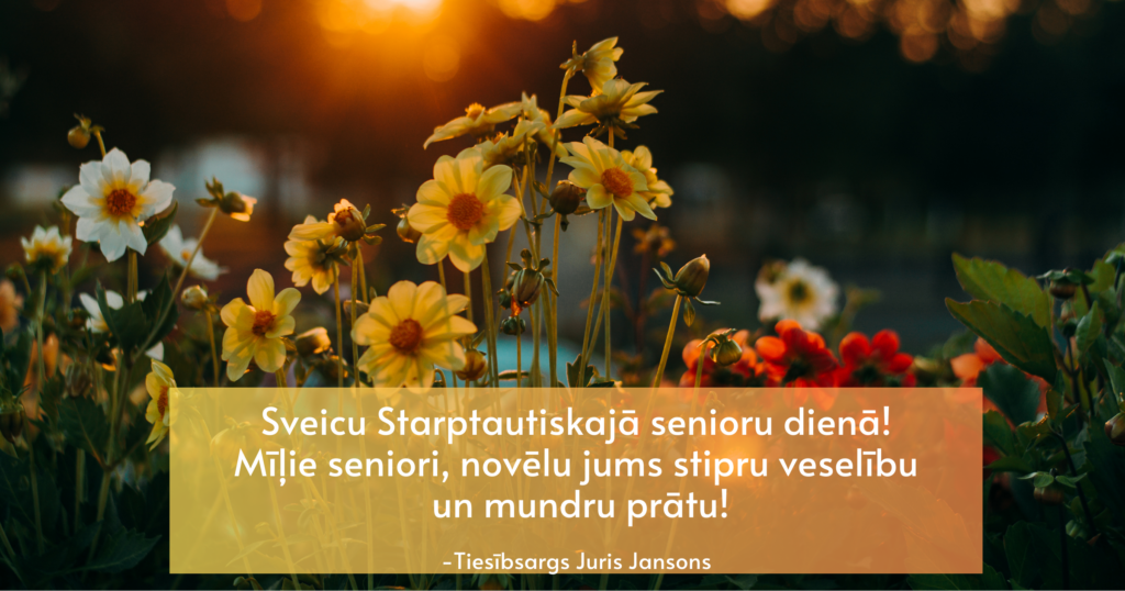 Dārzs ar baltām, dzeltenām un sarkanām dālijām, tālumā starp kokiem saulriets oranžās nokrāsās. Tekstā: Sveicu Starptautiskajā senioru dienā! Mīļie seniori, novēlu jums stipru veselību un mundru prātu! Tiesībsargs Juris Jansons