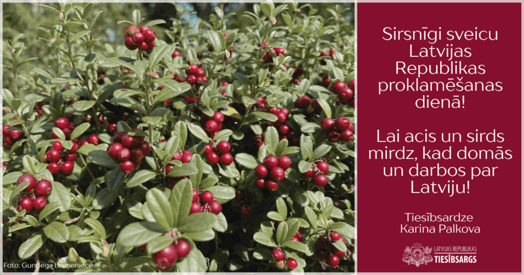 Attēlā brūklenāji. Teksts: Sirsnīgi sveicu Latvijas Republikas proklamēšanas dienā!
Lai acis un sirds mirdz, kad domās un darbos par Latviju!
Tiesībsardze
Karina Palkova